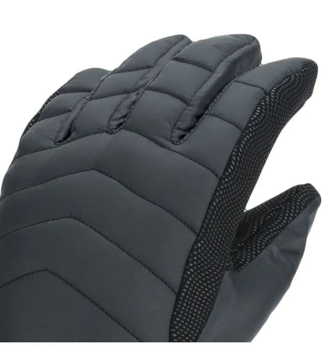 Sealskinz Cimdi - WP All Weather L/W Insulated Glove L/Black